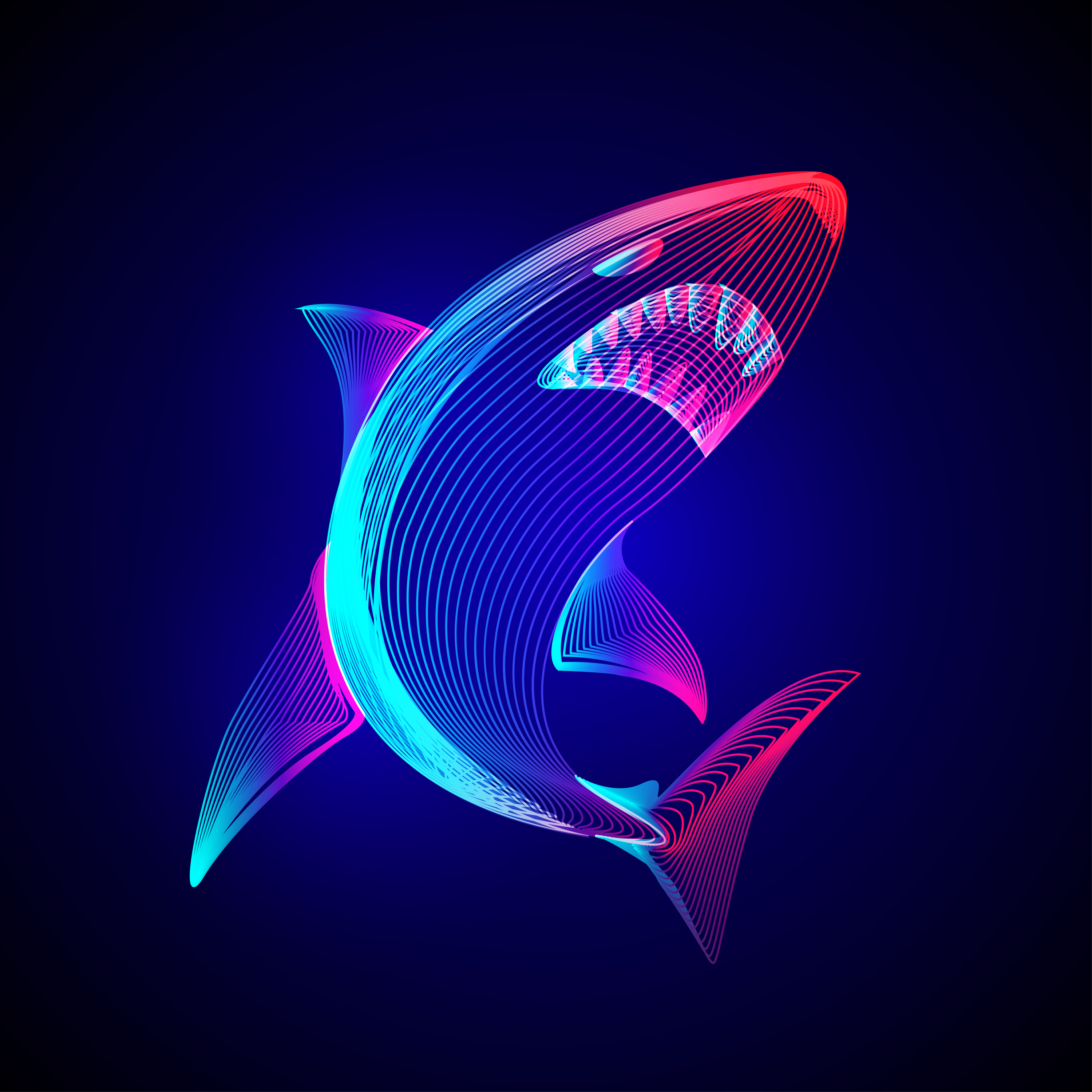 Digital Color Shark